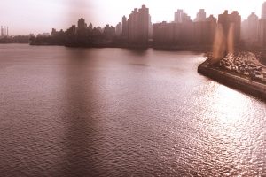 Ozzie Hoppe Film Photography New York City