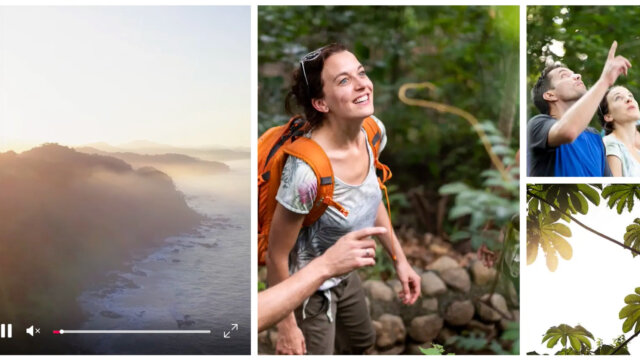 airbnb